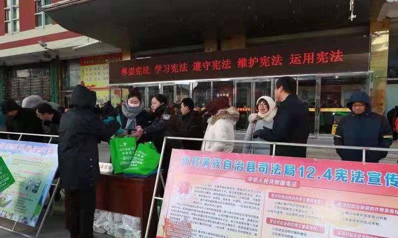 國家憲法日當天的集中宣傳活動