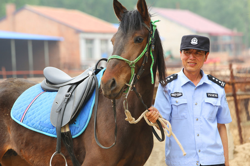民警每天都悉心照料著愛馬。