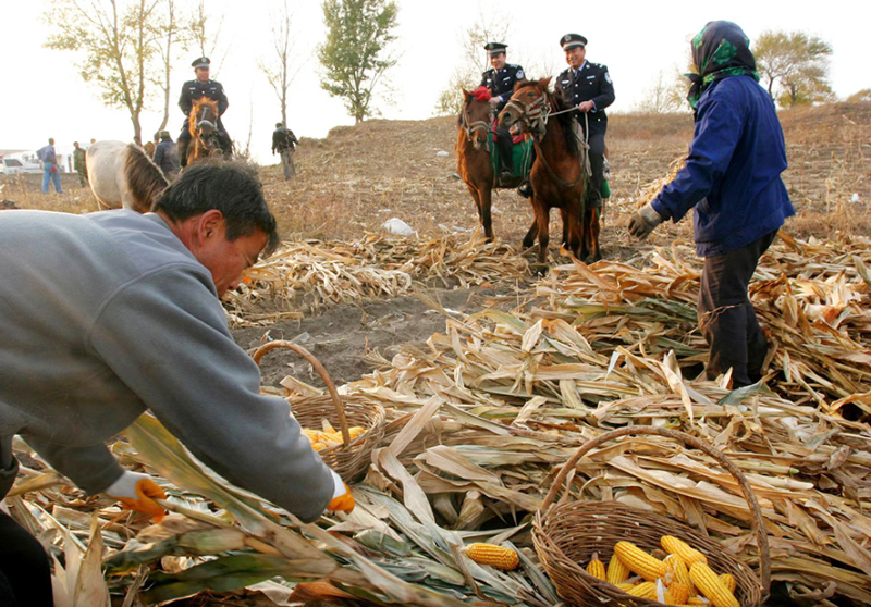 2009年10月，“馬背110”民警在田間巡邏。