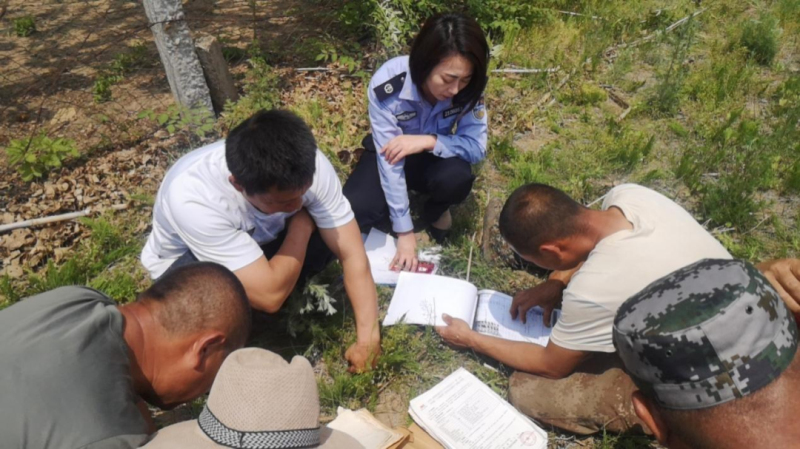 配文2：司法所工作人員現(xiàn)場查看土地臺賬。